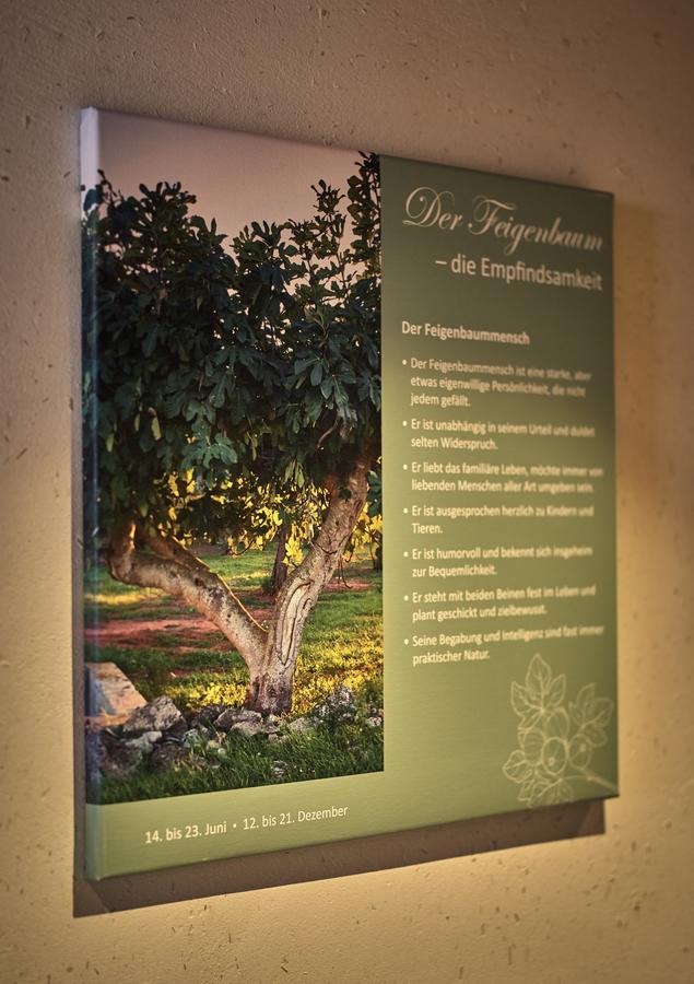 Zedernhof Gesundheits- & Wellnesshotel Stamsried Bagian luar foto