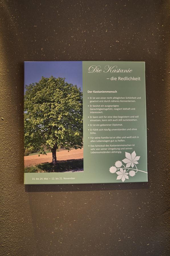 Zedernhof Gesundheits- & Wellnesshotel Stamsried Bagian luar foto